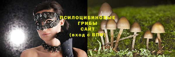 каннабис Шадринск