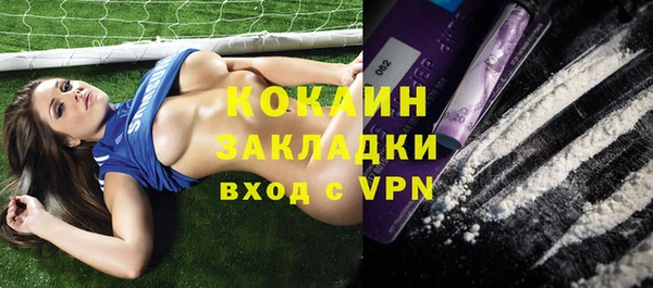 твердый Вязьма