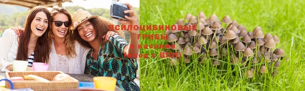 бошки Вяземский