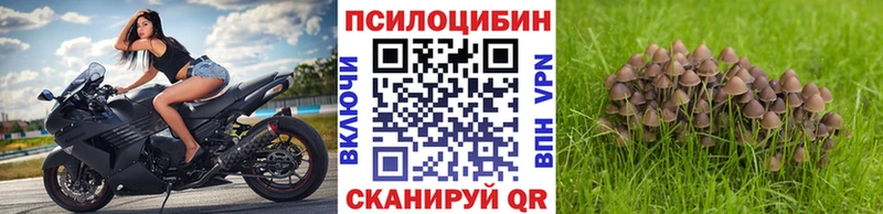 Купить где  Невьянск  Галлюциногенные грибы Psilocybe 
